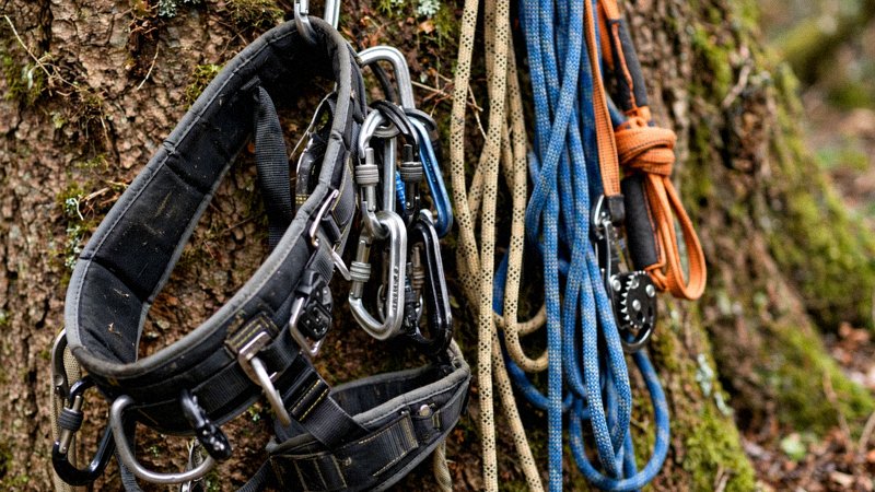 Alpinistyczna wycinka drzew — schemat pracy arborysty na linach — zdjęcie 2