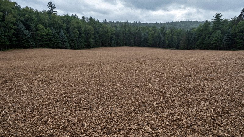 Mulczer leśny rozdrabniający zarośla i samosiejki na działce — zdjęcie 3