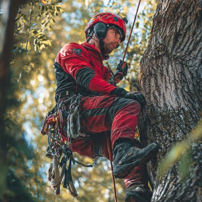 Wycinka metodą alpinistyczną — Łódź